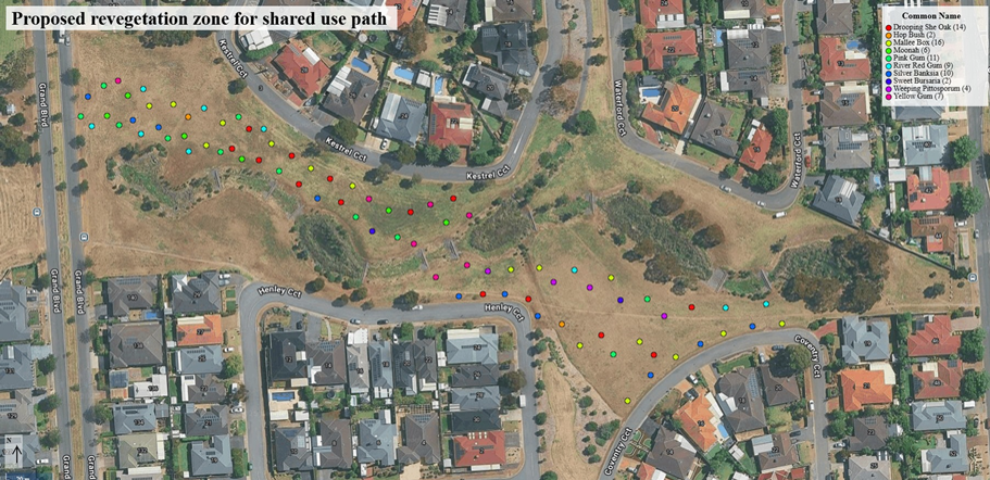 Proposed revegetation plan