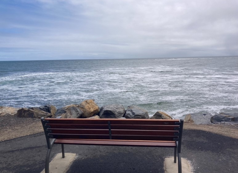 Image of seat on trail 