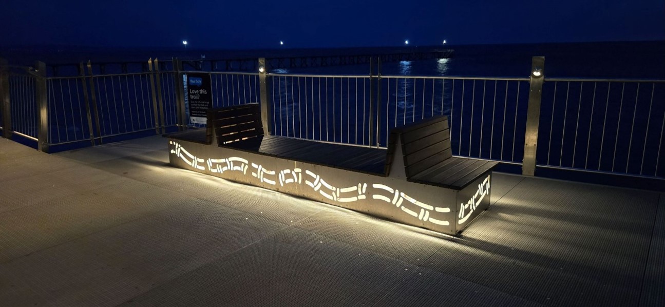 Image at night on trail