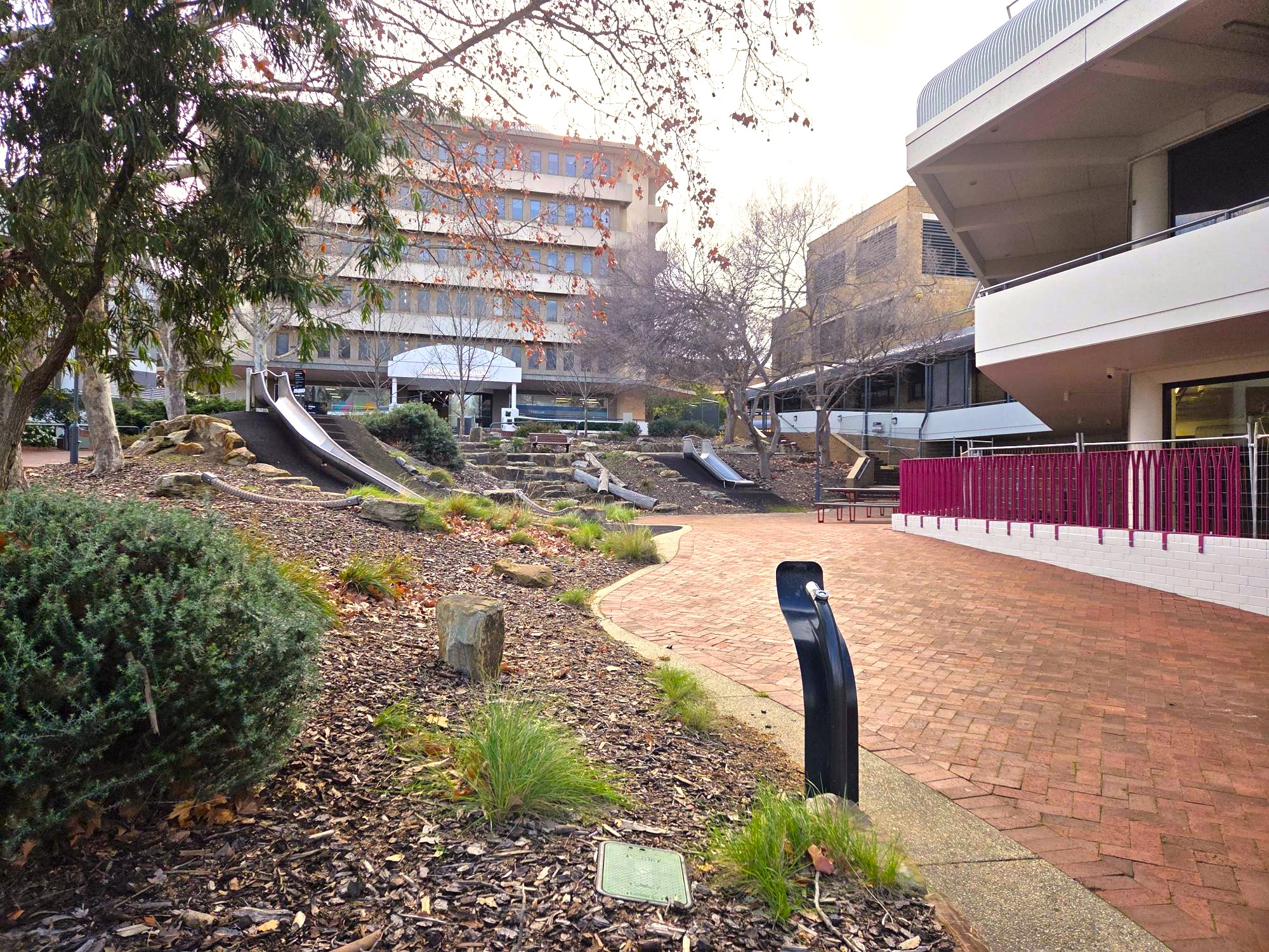 Nature play space with slides and landscaping near the Hopgood Theatre.