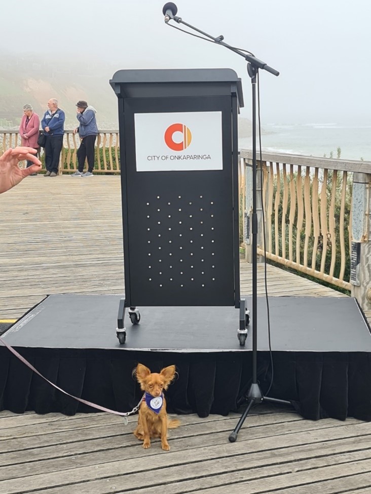 Image of dog in front of sign