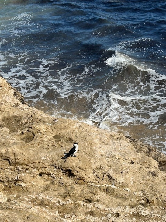 Image of rocks and sea