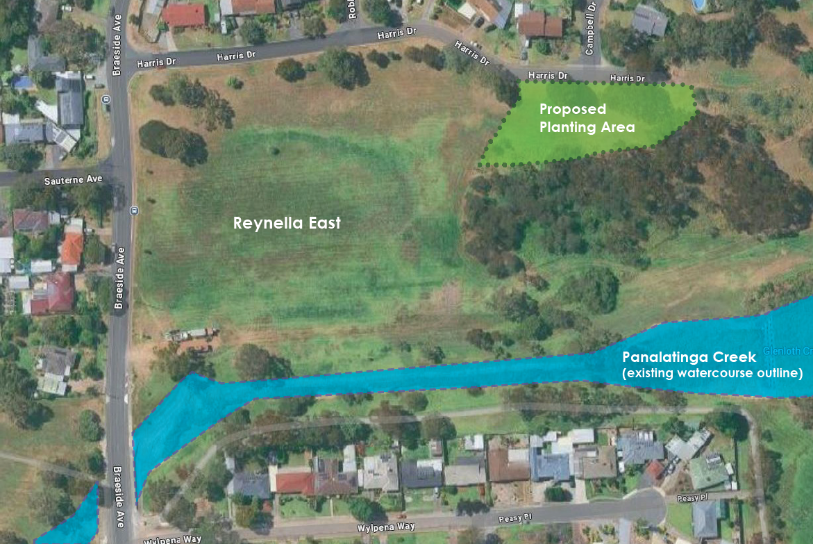 Aerial view showing a proposed planting area in green near Harris Drive, Reynella East. The nearby Panalatinga Creek watercourse is marked in blue, running alongside residential streets including Wylpena Way and Peasy Place.